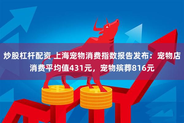 炒股杠杆配资 上海宠物消费指数报告发布：宠物店消费平均值431元，宠物殡葬816元