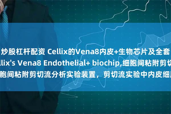 炒股杠杆配资 Cellix的Vena8内皮+生物芯片及全套配件现货，Cellix's Vena8 Endothelial+ biochip,细胞间粘附剪切流分析实验装置，剪切流实验中内皮细胞单层细胞培养装置