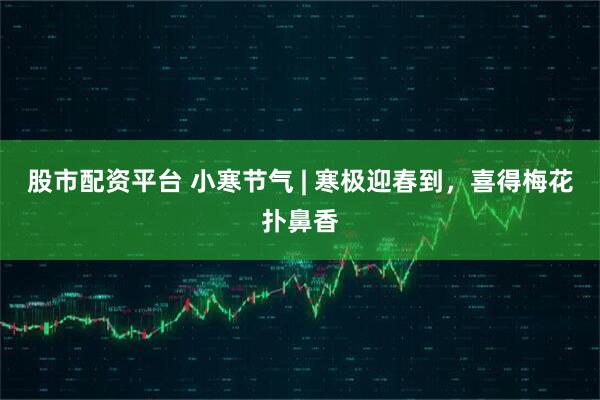 股市配资平台 小寒节气 | 寒极迎春到，喜得梅花扑鼻香