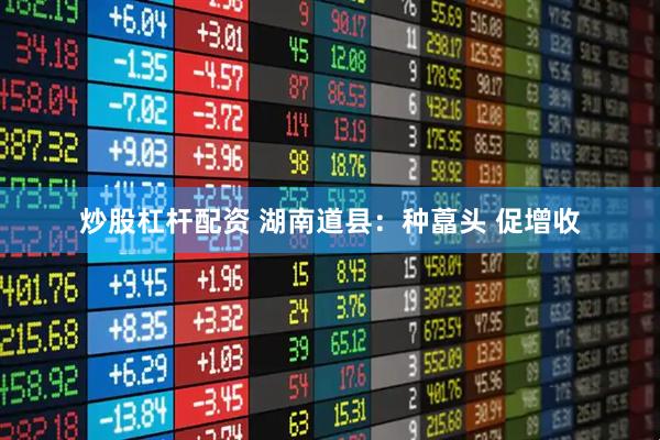 炒股杠杆配资 湖南道县：种藠头 促增收