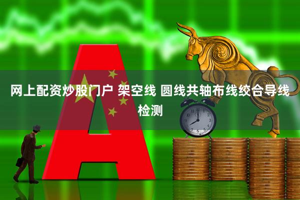 网上配资炒股门户 架空线 圆线共轴布线绞合导线检测