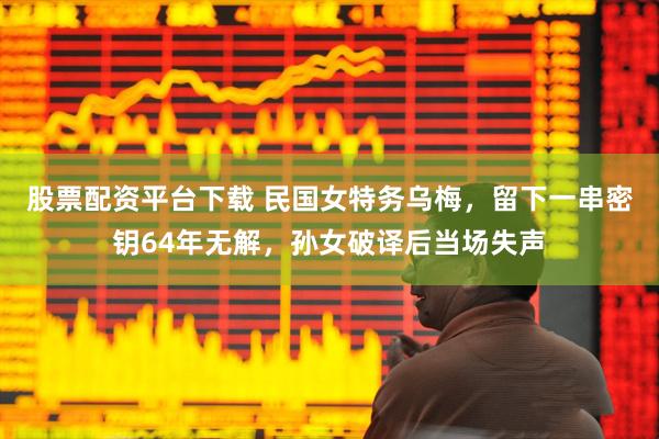 股票配资平台下载 民国女特务乌梅,留下一串密钥64年无解,孙女破译后当场失声
