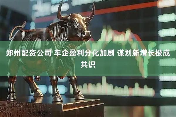 郑州配资公司 车企盈利分化加剧 谋划新增长极成共识